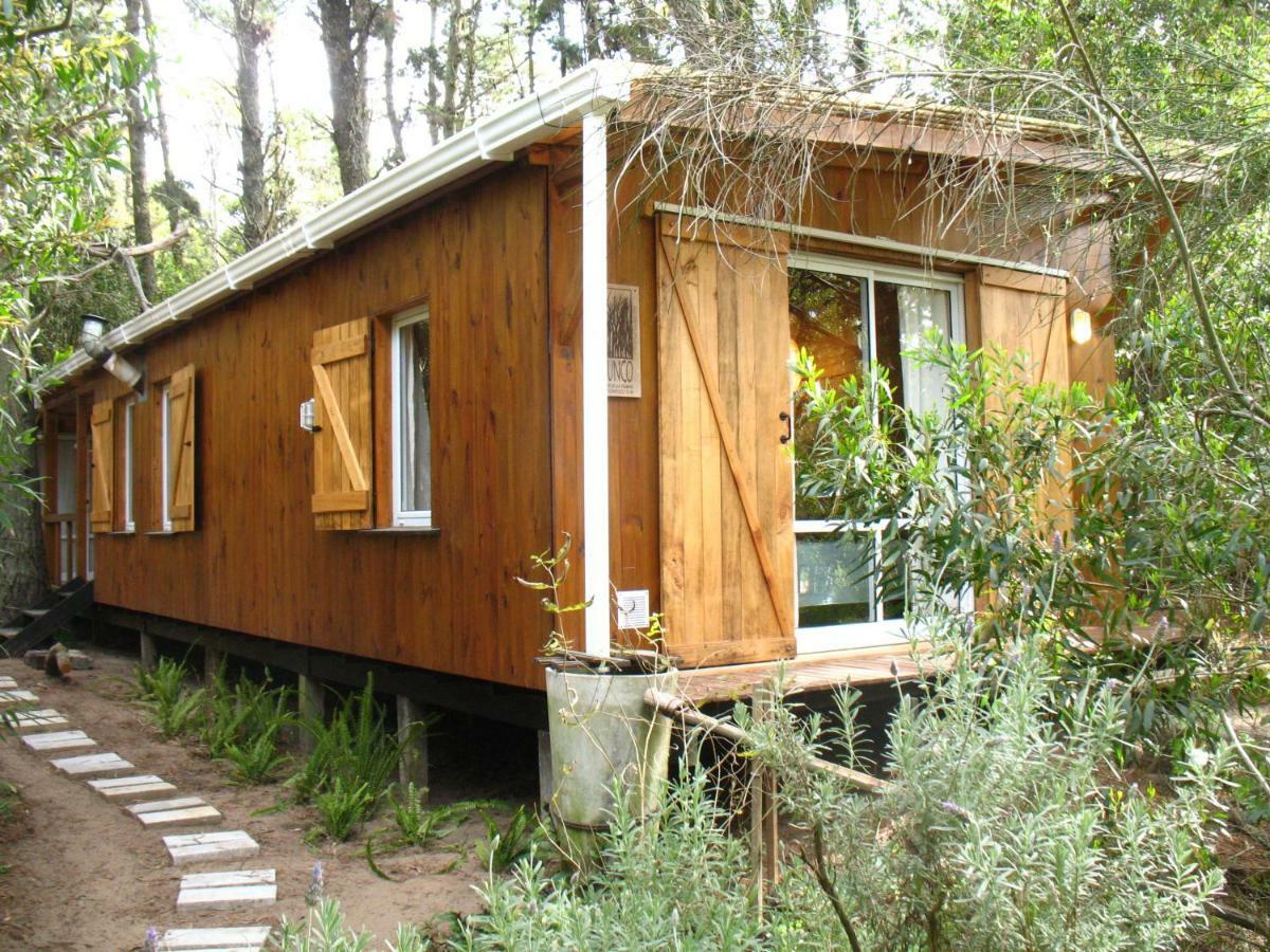 Cabaña Junco Villa Mar de Las Pampas Exterior foto